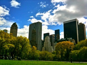 A YOFA Stroll through Central Park